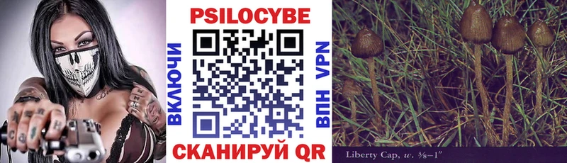 Псилоцибиновые грибы прущие грибы  как найти наркотики  Ряжск 